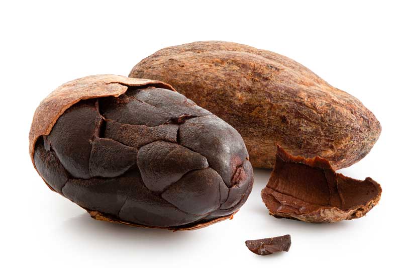 geroosterde cacaoboon