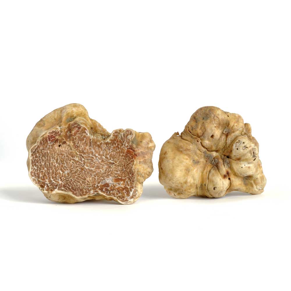 witte truffels
